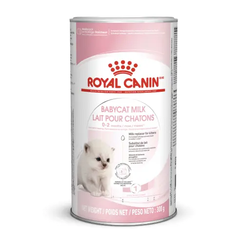 Royal Canin Baby cat Milk 300g